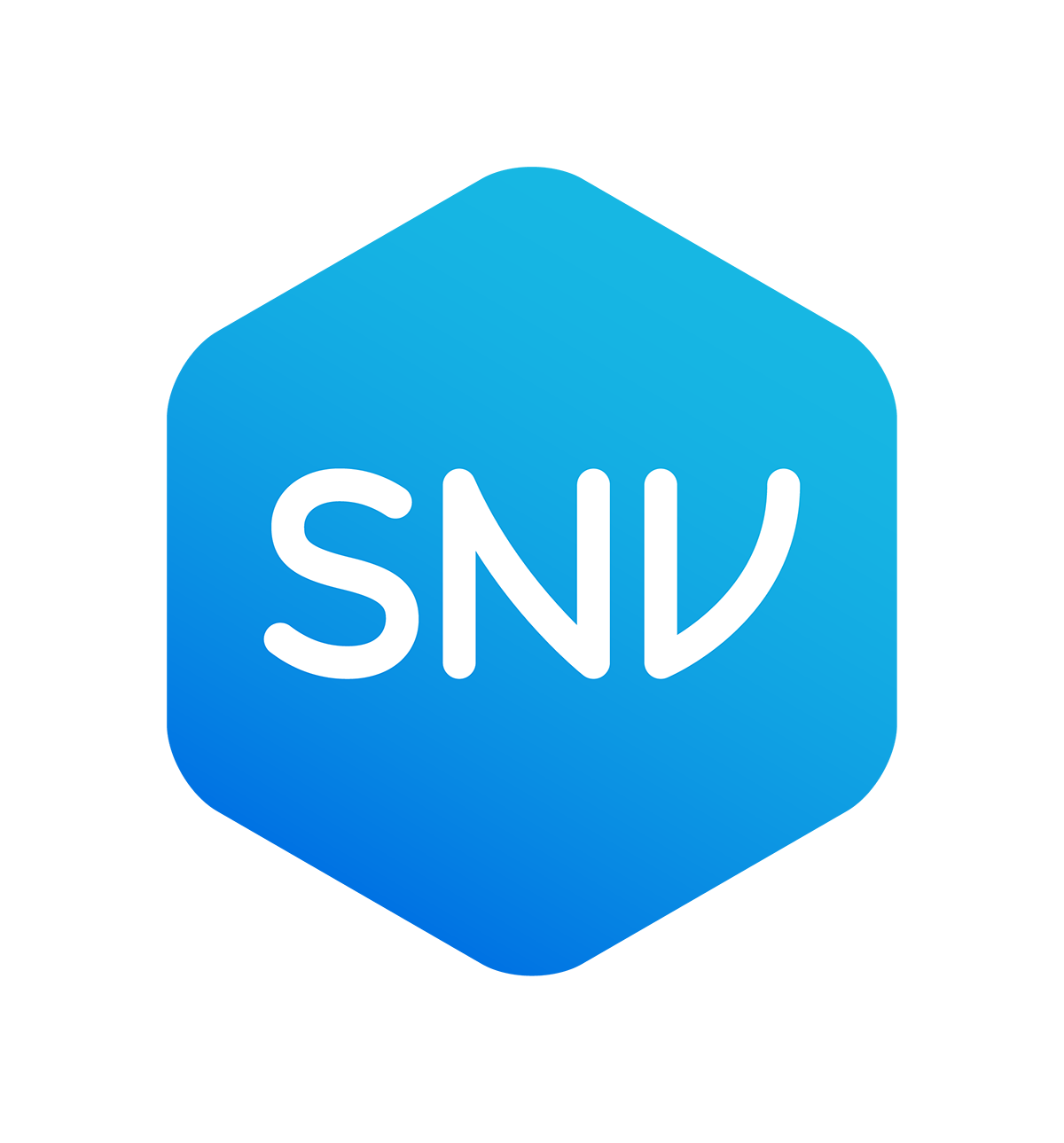 SNV Organisation Néerlandaise De Développement logo